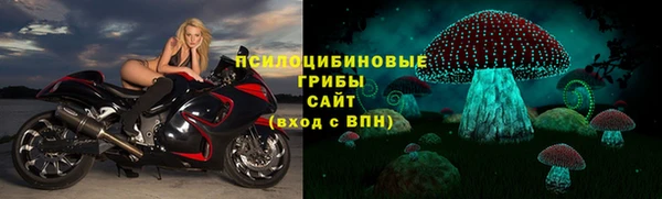 молекула духа Сафоново