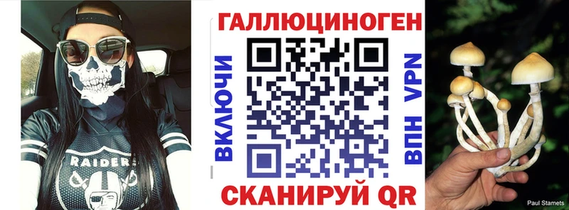 Купить закладки  Орехово-Зуево  Псилоцибиновые грибы Psilocybe 